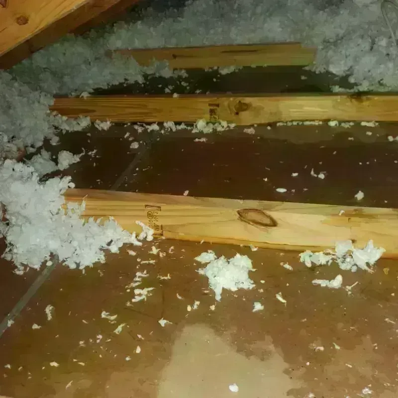 Attic Water Damage in Winchester, OH