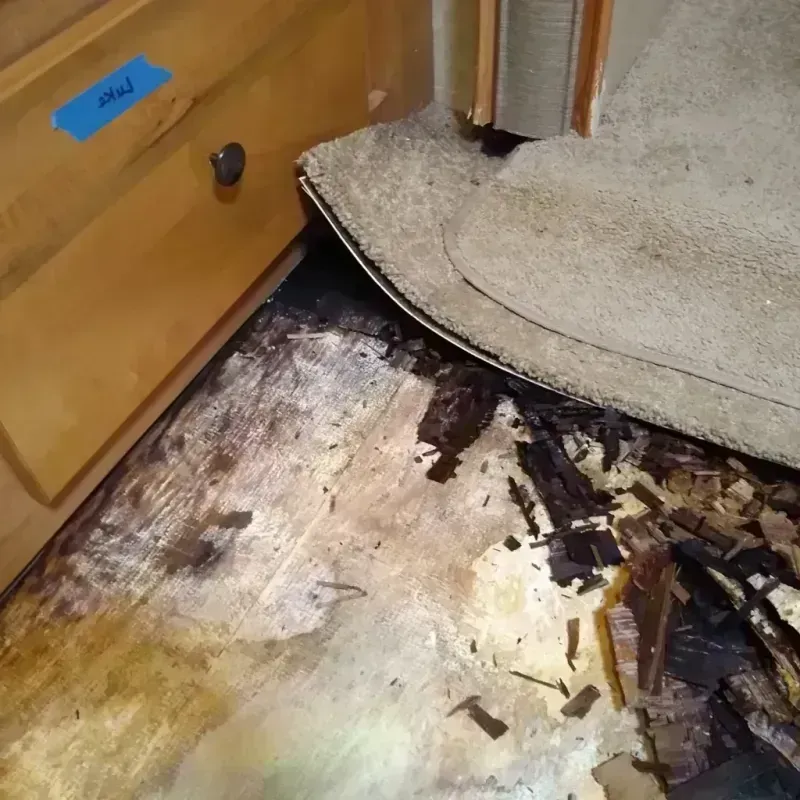 Wood Floor Water Damage in Winchester, OH